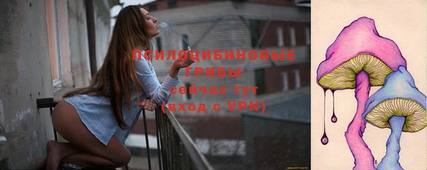 ешки Абинск